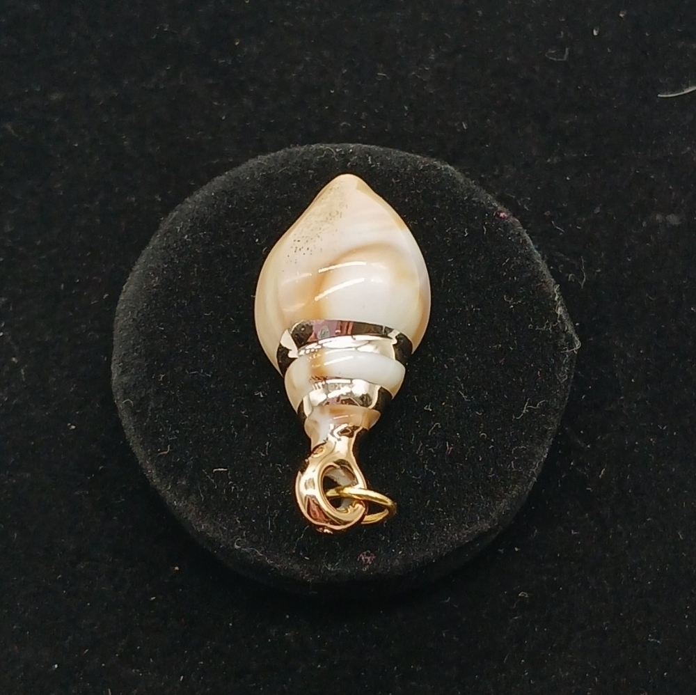 32x15mm Golden Seashell Acrylic Pendant #2 - Picture 3 of 5